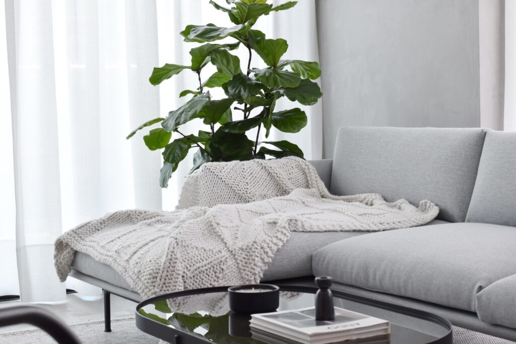 Casa MN — imagen 1